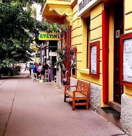 Cozy In Vinohrady Prague