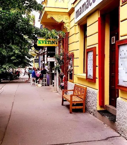 Cozy In Vinohrady Praga